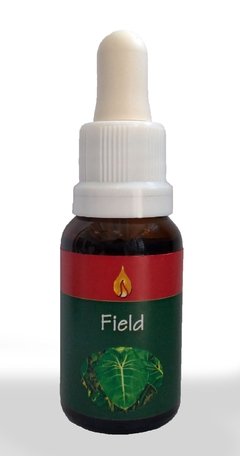 FIELD - 15ML