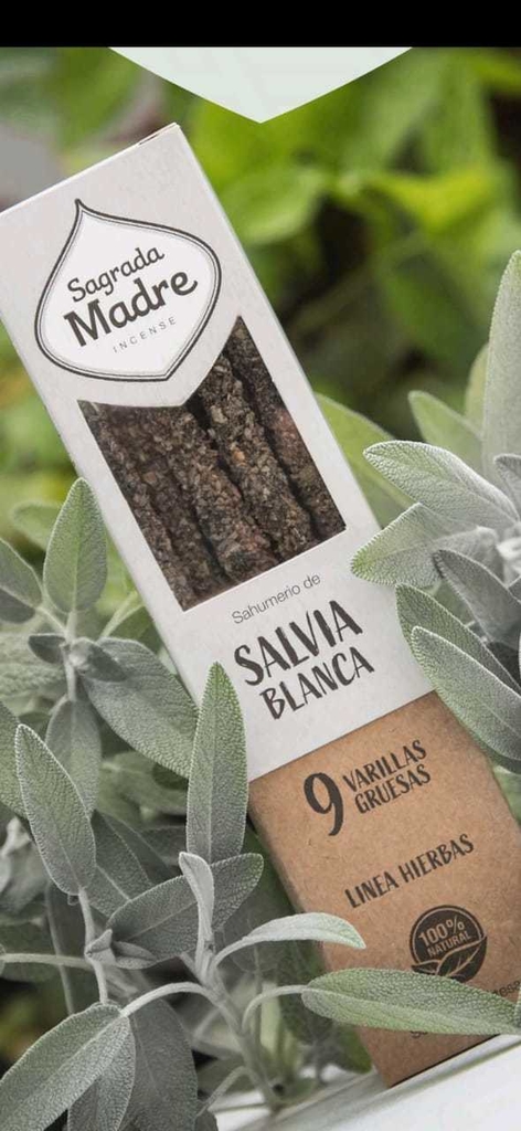Sahumerio Salvia Blanca - 9 varillas