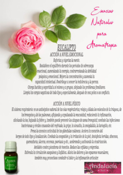 Esencia Natural para aromaterapia - 10 cc - EUCALIPTO