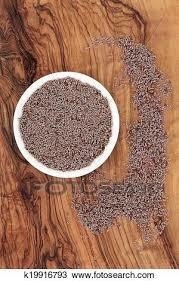 Psyllium Semillas