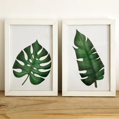 Set Cuadros Selva