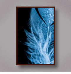 FEATHER III - Art Telas Molduras