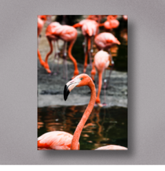 FLAMINGO I