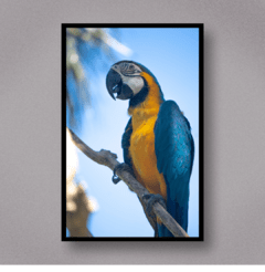 Arara Azul I - comprar online