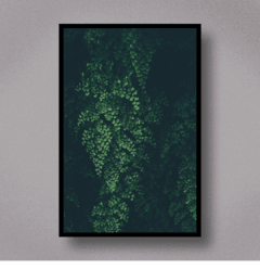 LEAVES II - comprar online