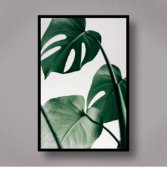 LEAVES III - comprar online