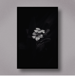 Flower XIII - comprar online