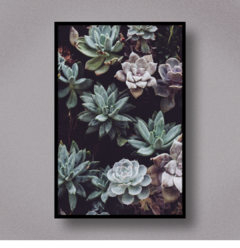 Succulent IX - comprar online