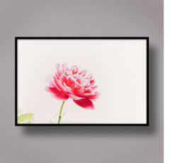 Flower XIX - comprar online