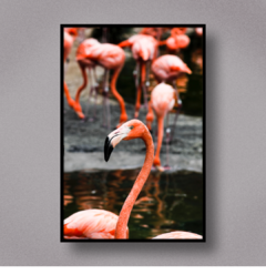 FLAMINGO I - comprar online