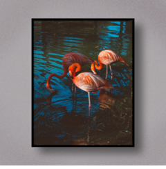 FLAMINGO II - comprar online