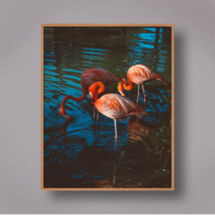 FLAMINGO II - Art Telas Molduras