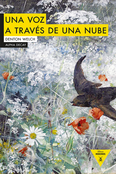 UNA VOZ A TRAVÉS DE UNA NUBE- DENTON WELCH- ALPHA DECAY