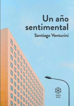 UN AÑO SENTIMENTAL- SANTIAGO VENTURINI- CALETA OLIVIA - comprar online