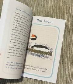 LIBRO de la Fauna argentina - 100 IDEAS - Alarte