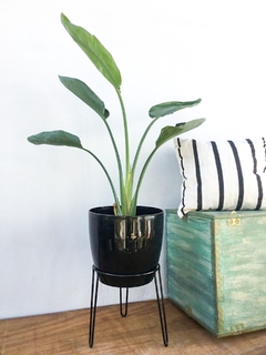 Portamaceta Grace 25 cm sin planta