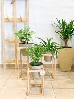 Trio Live con plantas - comprar online