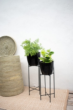 Duo Glory con plantas - comprar online