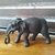 Decoração Animal Elefante Preto