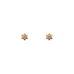Abridor de Oro Estrella con piedra (211182) - comprar online