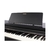 Piano Casio Celviano AP-270 BK na internet