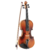 Violino Vivace BE34 Beethoven 3/4
