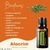 Rosemary Aroma Natural de Alecrim 5ml - comprar online
