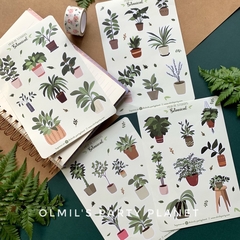 STICKERS BOTANICAL PLANCHAS x4