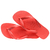 Havaianas top lisa salmão - Chinelo Shop