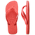 Havaianas top lisa salmão - loja online