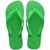 Havaianas top lisa verde folha