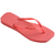 Havaianas slim square coral tropical na internet