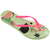 Havaianas slim pets citronela - comprar online