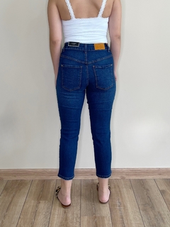 Calça jeans skinny Eva - comprar online