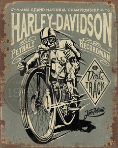 Harley Davidson Ama Grand