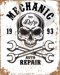 Mechanic auto repair