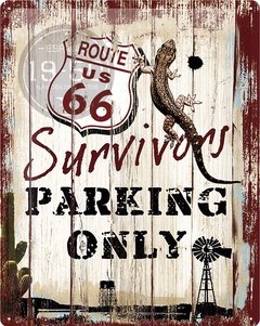 Survivors parking only