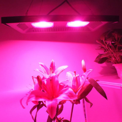 Reflectores LED p/cultivo - potencias varias - comprar online