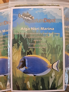 Alga Nori Marina