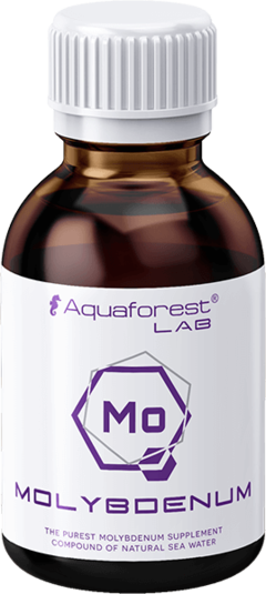 Molybdenum Aquaforest Lab