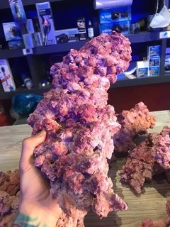 Roca Aquaforest violeta en internet