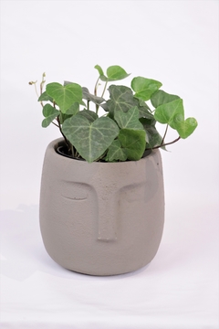 vaso decorativo cimento cinza minimalista MÉDIO - comprar online