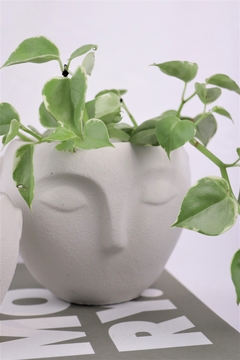 vaso para plantas decorativo faces branco gelo - comprar online