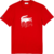 Camiseta Lacoste Mini Piqué de Algodão na internet
