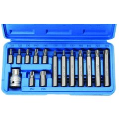 Juego de puntas Torx 1/2" x 15 pcs Ruhlmann RU24003