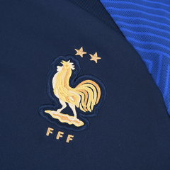 NIKE REMERA STRIKE FRANCIA en internet