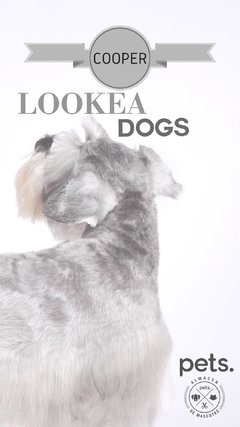 #Lookeadogs Cooper - comprar online