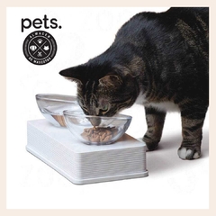Comedero Glass Cat it - comprar online