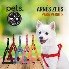 Arnes Zeus Medium-Small Para Perros en internet