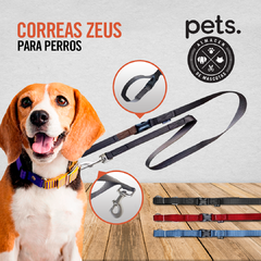 Correa Zeus Para Perros Talles S-M-L-XL